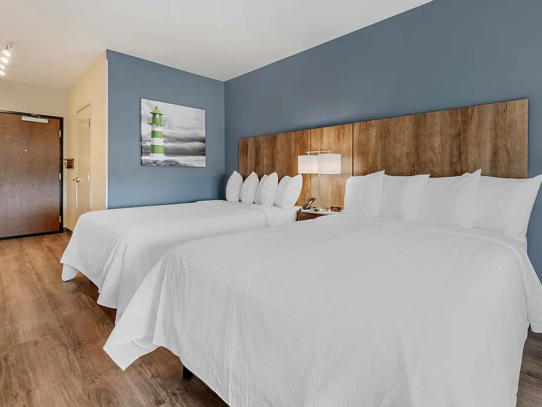 Studio Suite - 2 Queen Beds