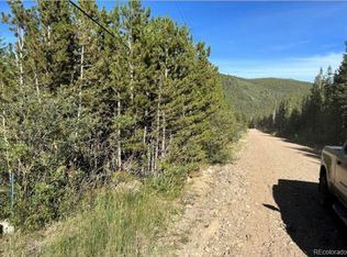 343 Aspen Rd, Idaho Springs, CO 80452