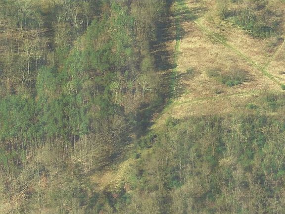 4th image of 15 Robin Hill Ln