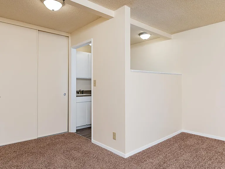 Raleigh Scholls | Kitchen