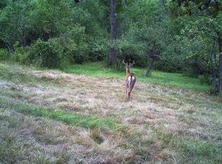 1176 Lutheranville Rd, East Worcester, NY 12064