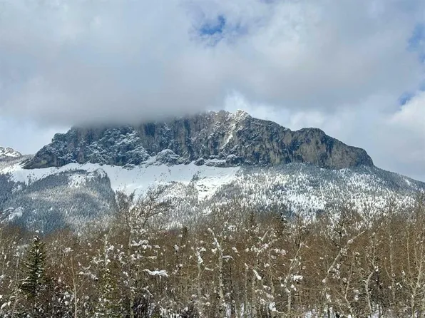 830230 S Highway 1x Rural Bighorn #8, Md Of, AB T0L 2C0