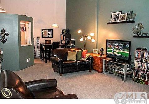 Cathedral Ceilings/Living Room