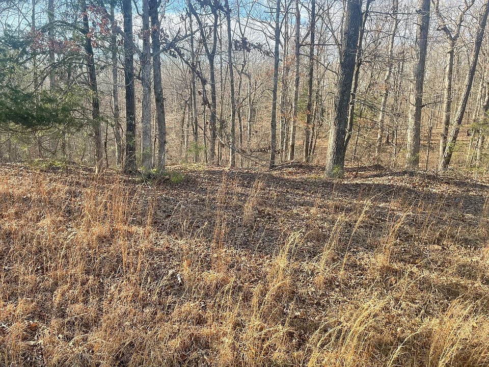 2nd image of 217 Magee Trl Lot 20