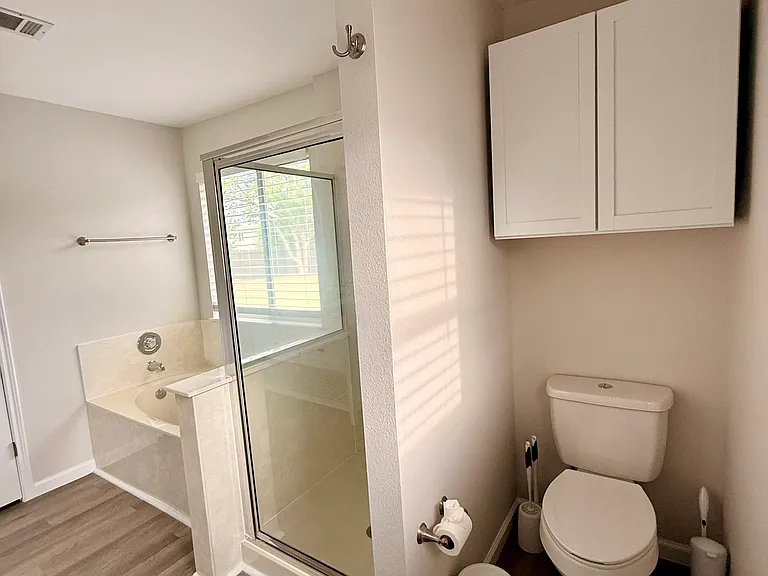 Master bath - tub & standup shower