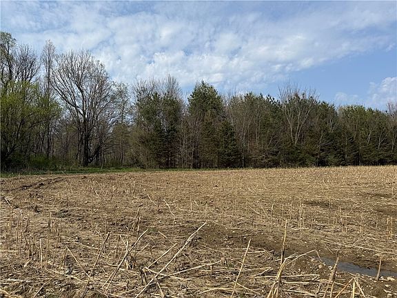 3rd image of 14245 Collin Center Zoar Rd Lot 16