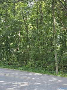 10th St NW, Arab, AL, 35016