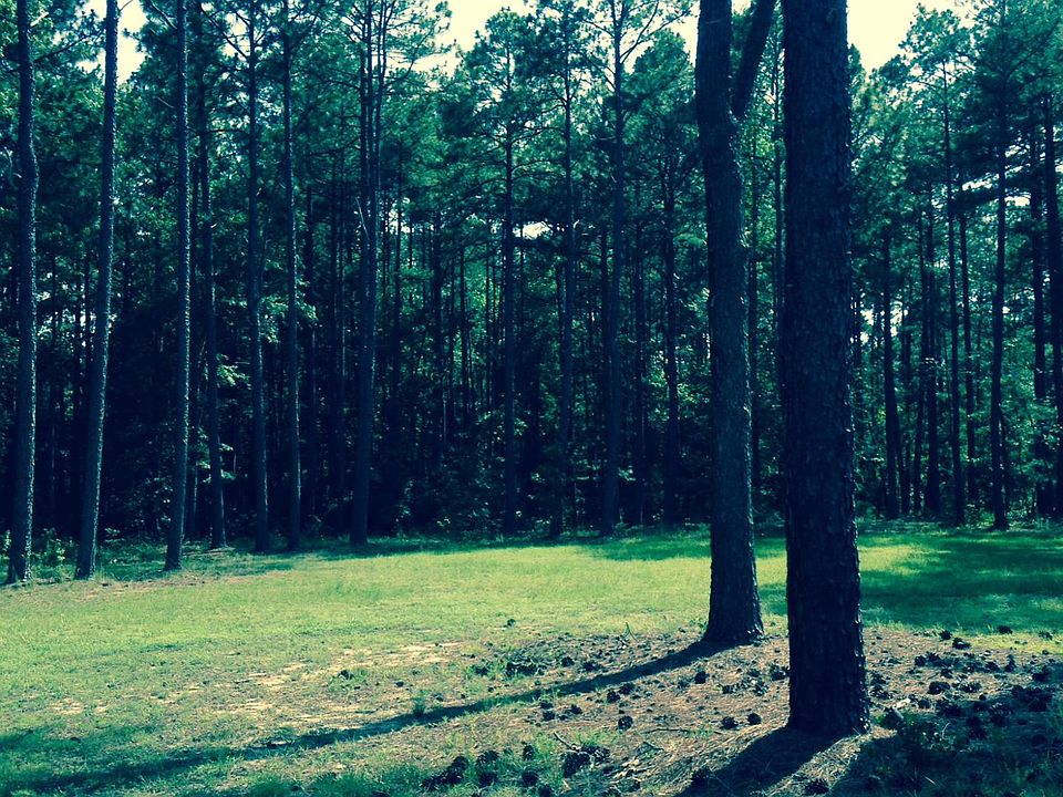 1st image of 0 Laurel Oak Ln Lot 2