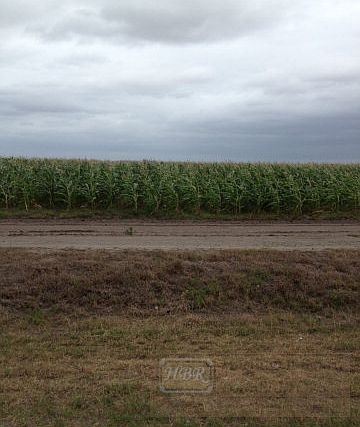 2nd image of 17368 State Highway 186 E