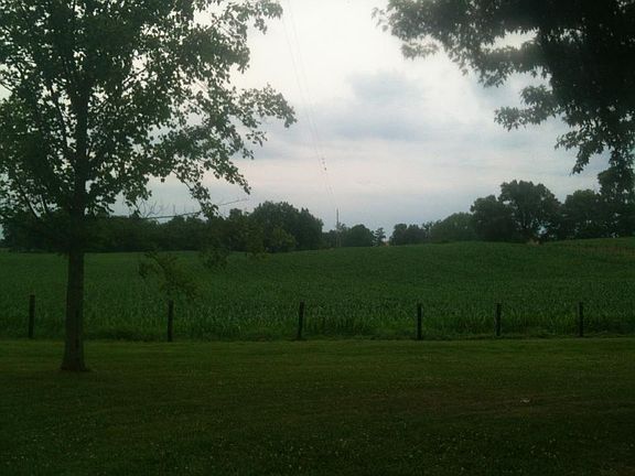 view off the back deck