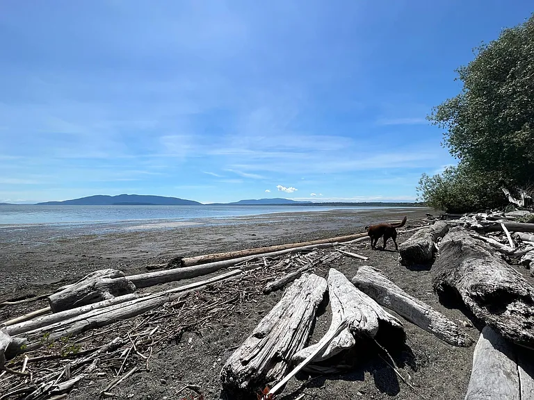 3914 Cliffside Dr — Photo 25