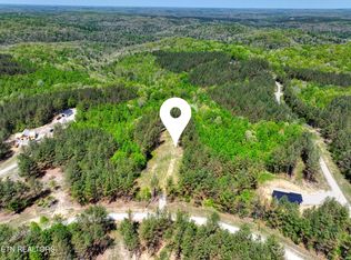 372 Stonecipher Ct, Sunbright, TN 37872