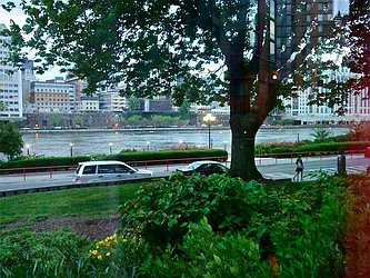 Rented by Sotheby's International Realty