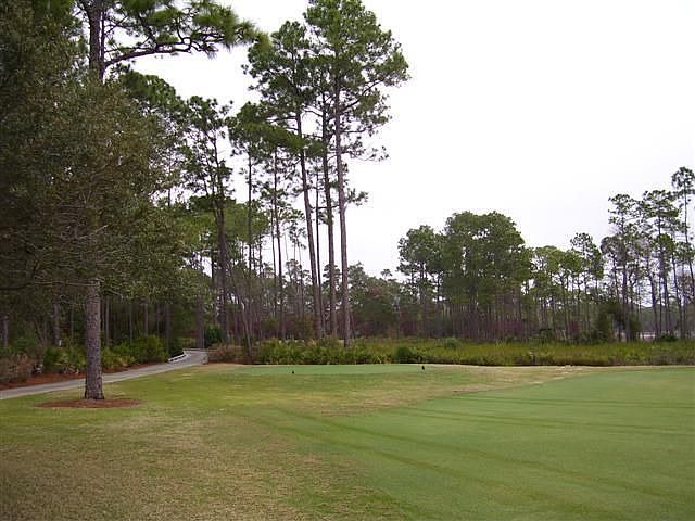2nd image of 1403 Turtleback Trl