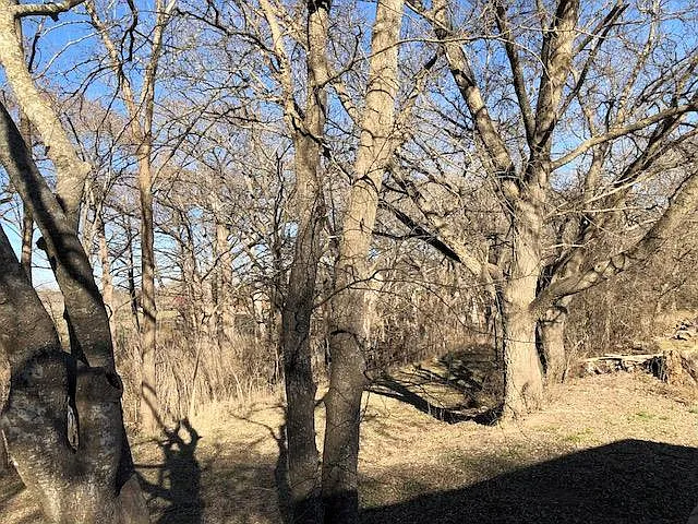 130 Verde Park Blvd — Photo 4