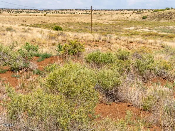 35 Ranch Rd, Concho, AZ 85924