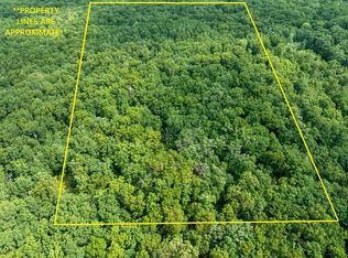 6946 W Seven Mile Rd, Irons, MI 49644