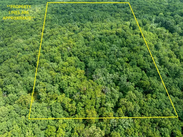 6946 W Seven Mile Rd, Irons, MI 49644