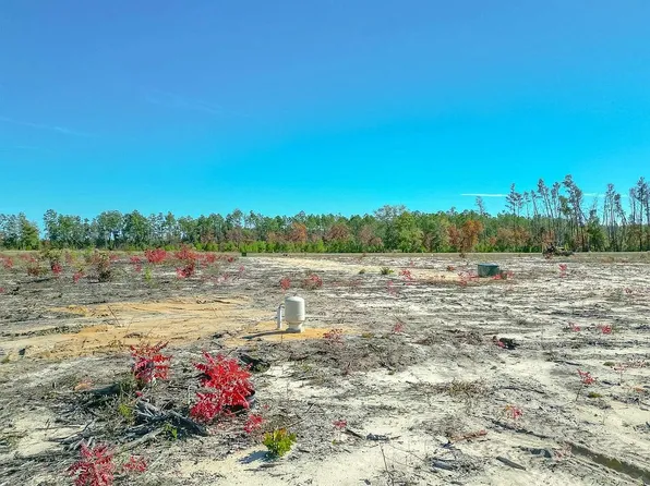 12535 NW Longbranch Dr, Bristol, FL 32321