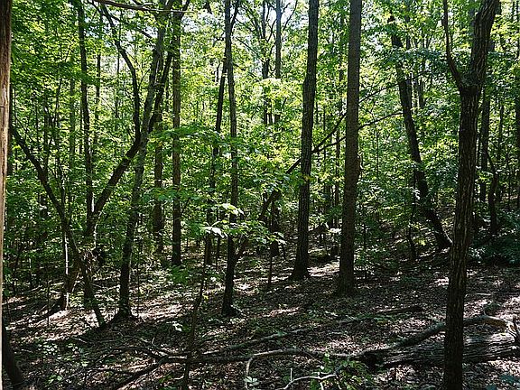 3rd image of 0 Horse Mountain Dr