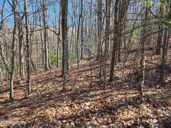 56 Homberg Ln, Fairfield Glade, TN 38558