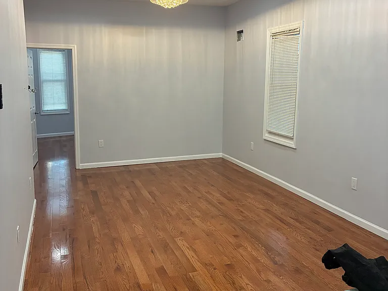 110 Williams Ave #3L — Photo 8