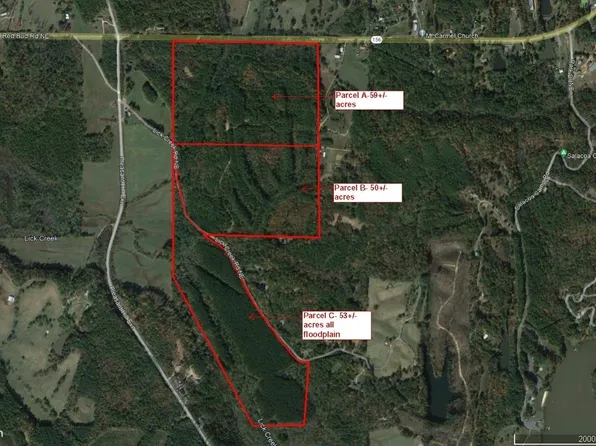 0 Lick Creek Rd NE #9624-C, Ranger, GA 30734