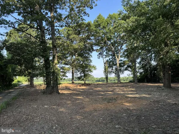 22 Nutt Ln, Mullica Hill, NJ 08062