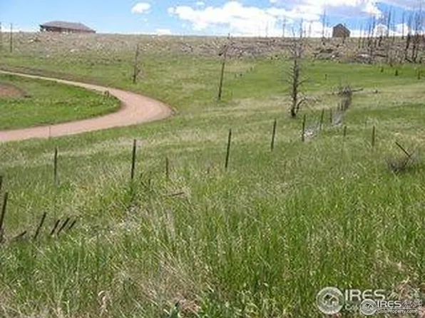 64 Bobcat Mountain Ct, Livermore, CO 80536