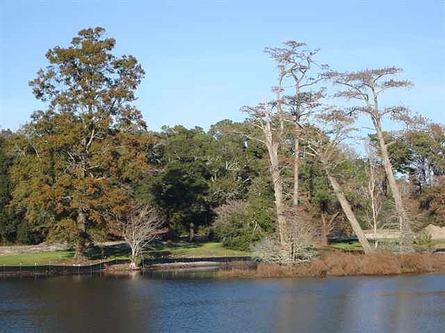 1st image of TBD Lake Egret Dr. Lot 32A