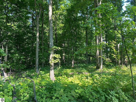4th image of N Our Majestic Trail B