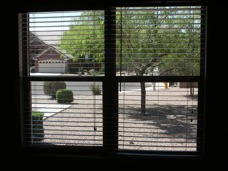 View from Living Room into Cul de Sac