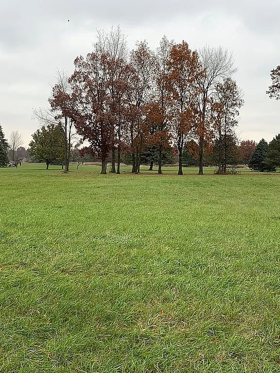 443 Dama View Ct photo 1