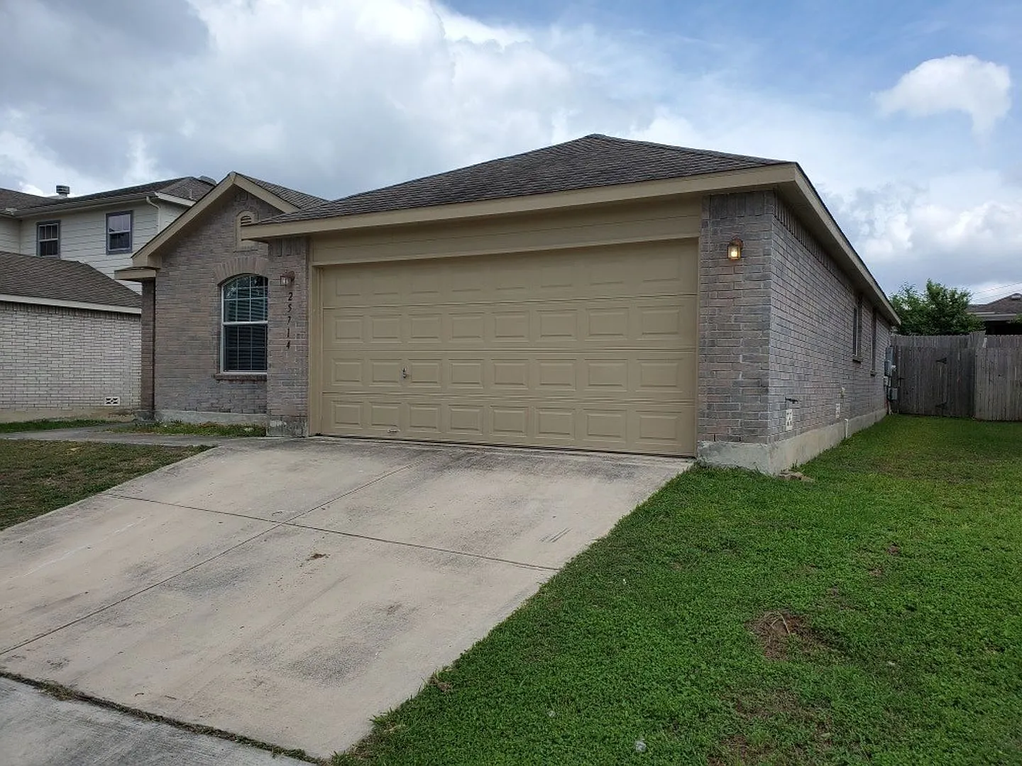25714 Gold Yarrow — Photo 2