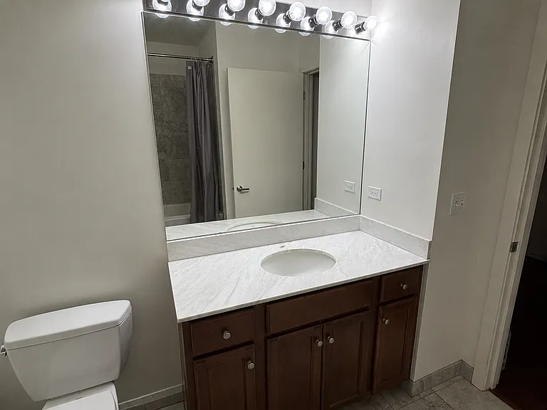 1160 S Michigan Ave #3104 — Photo 14