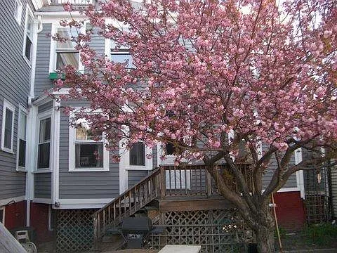 4 bed, $4,200 — Photo 4