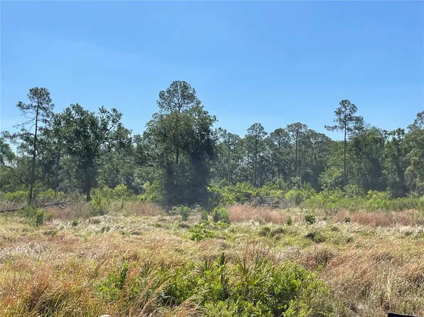 Avonwood St #7, Tampa, FL 33625