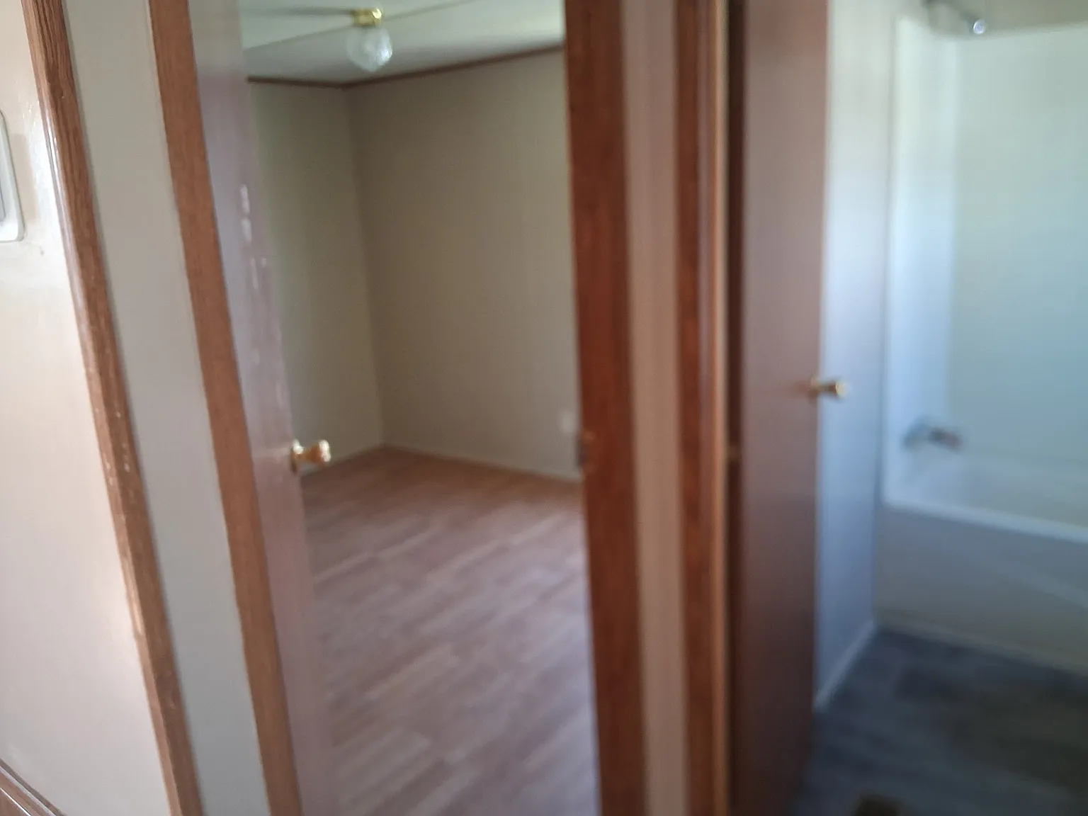 2 bed, $800 — Photo 4