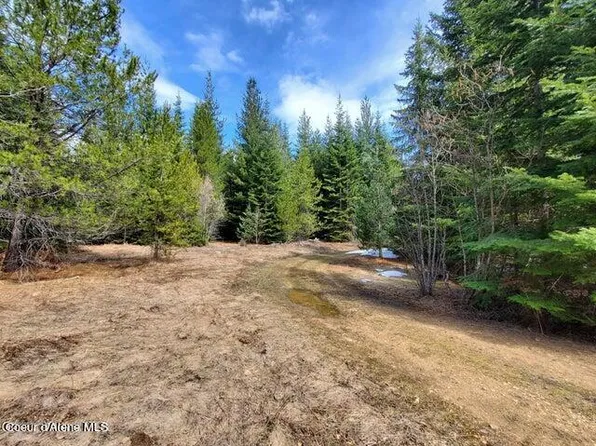 Nka Living Springs Rd, Priest River, ID 83856