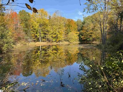 21769 21 Mile Rd, Paris, MI, 49338