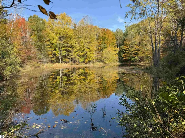 21769 21 Mile Rd, Paris, MI 49338