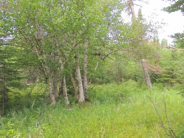 189 Arrowhead Trl, Hovland, MN 55606