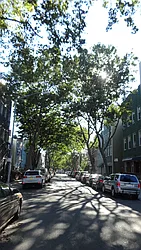 Rented by Grand & Co.