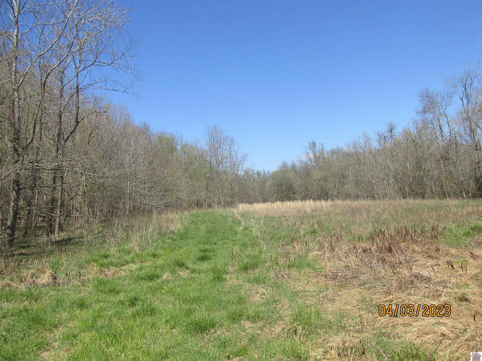 199 Springs Rd, Kuttawa, KY 42055 Zillow