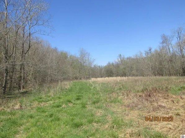 199 Springs Rd, Kuttawa, KY 42055