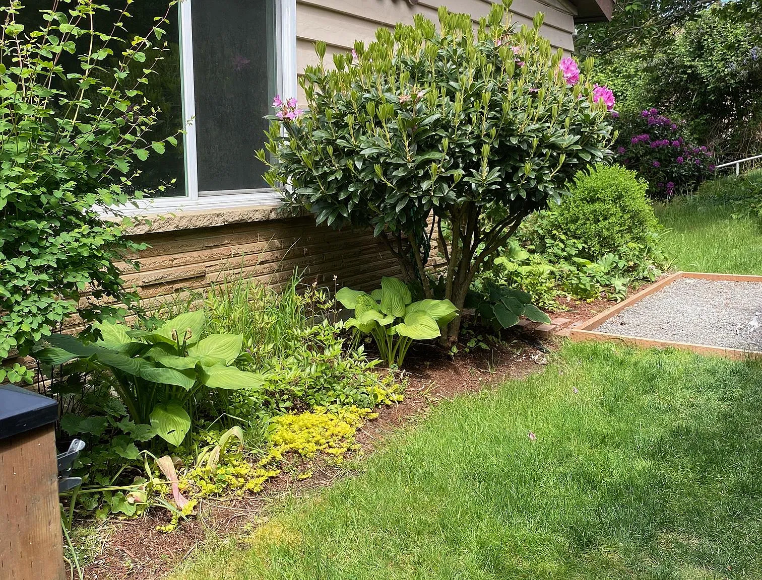 2 bed, 800 sqft, $2,350 — Photo 2