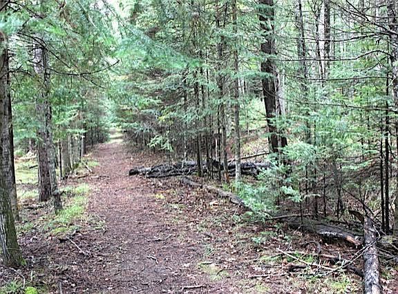 3rd image of Moffatt Trail 40.43 Acres