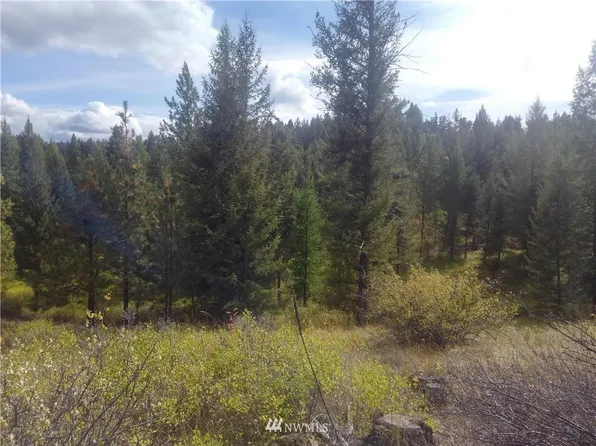 57 Corral Dr, Oroville, WA 98844