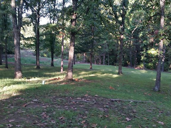 Back yard and back of home