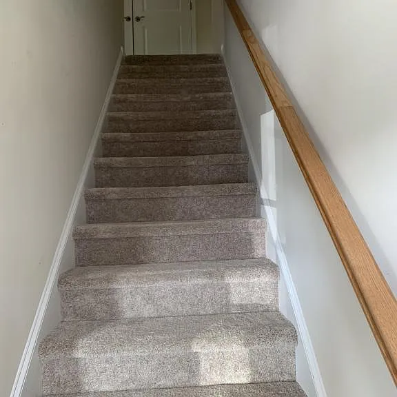 239 Louise Ln — Photo 7